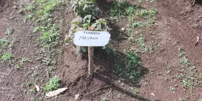 Projek Penguatan Profil Pelajar Pancasila (P5)